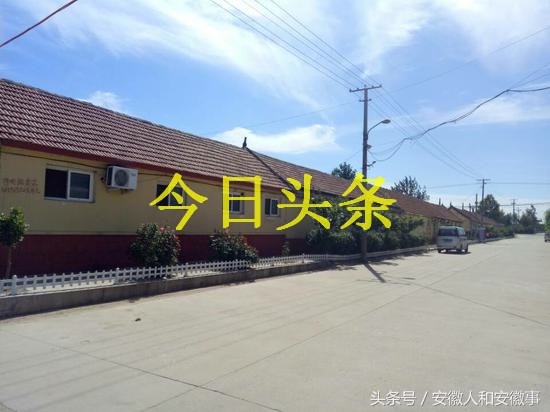 青岛平度市最大的村庄,青岛最牛的乡镇