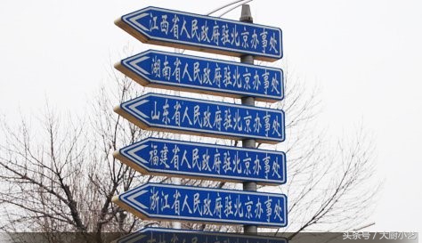 宜宾驻京办餐厅招牌菜,各省驻京办秘制招牌菜