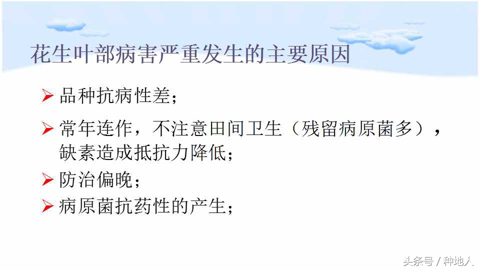 马上开始播种花生,快要种花生了