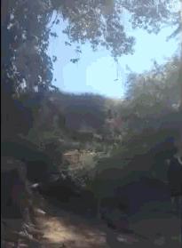 博君一肖手势密码,博君一笑合集卡点