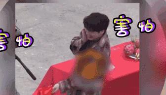 天了噜！王俊凯怕虫子，张艺兴有尖嘴恐惧症？男星“软肋”也很多