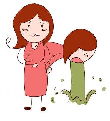 怀孕初期的3个月：胎儿发育的过程及B超所见