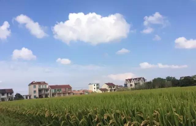 魔法宝贝门票,魔法宝贝团购