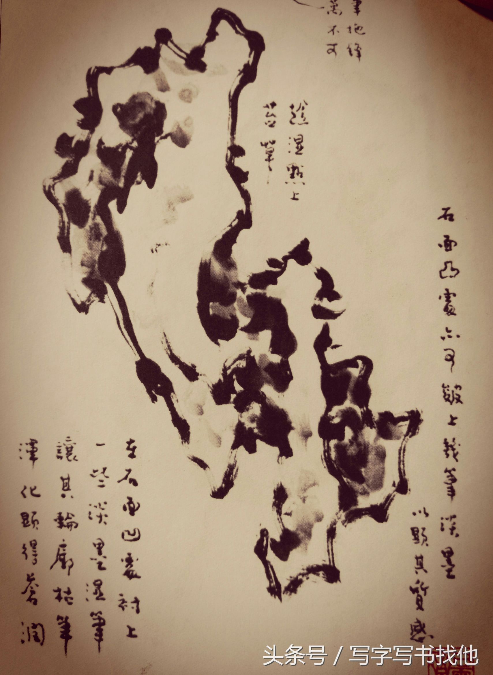 湖石的画法和技巧,工笔湖石画法