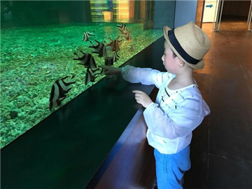 三亚自由行5天4夜最佳攻略,三亚带娃全家游自由行攻略