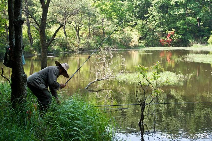 到一片陌生水域怎么垂钓,野钓不知道鱼情的情况下如何钓鱼