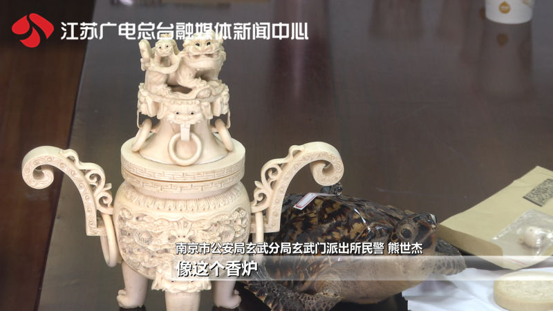 特大贩卖动物案,贩卖动物大案