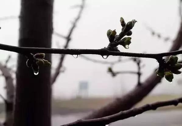 不亚樱桃沟、赛过杏花谷的洪庆墨玉河竟然没多少人知道！