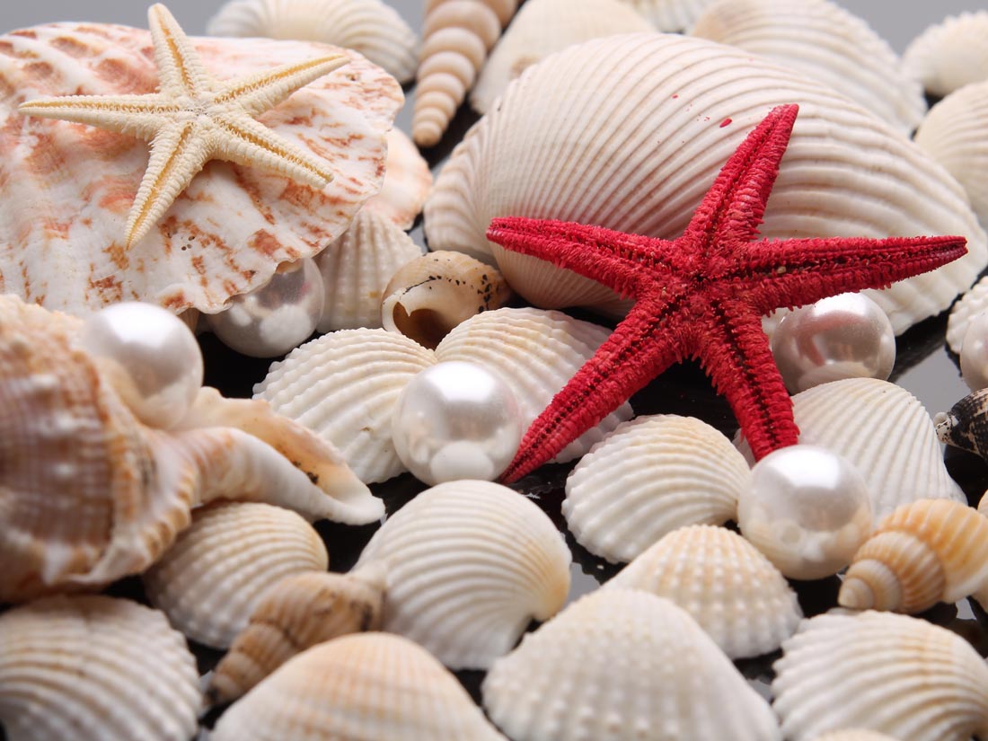 你在海边捡到过什么宝贝,你在海边捡到过什么东西