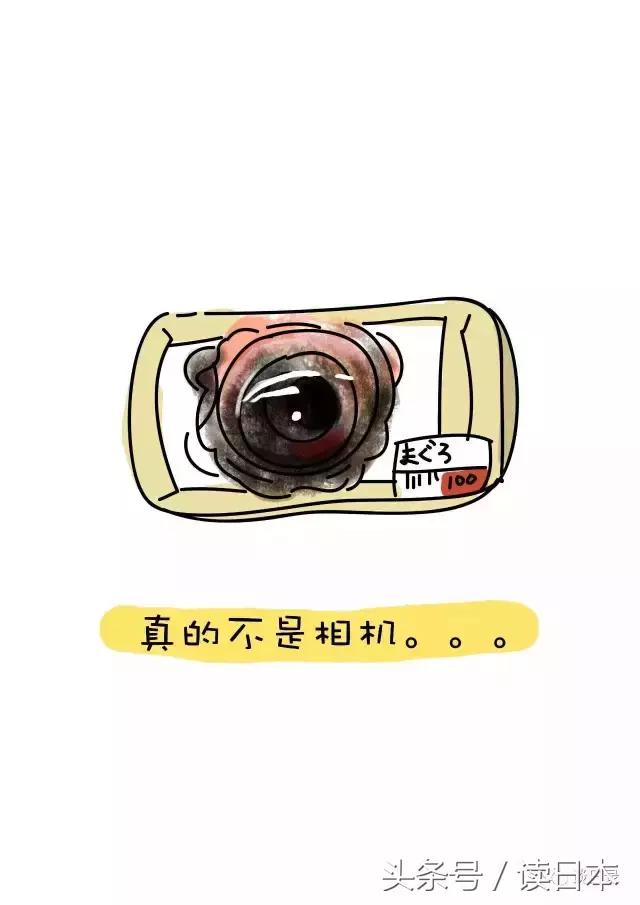 盘点日本人最喜欢吃的食物,日本人的奇葩食物