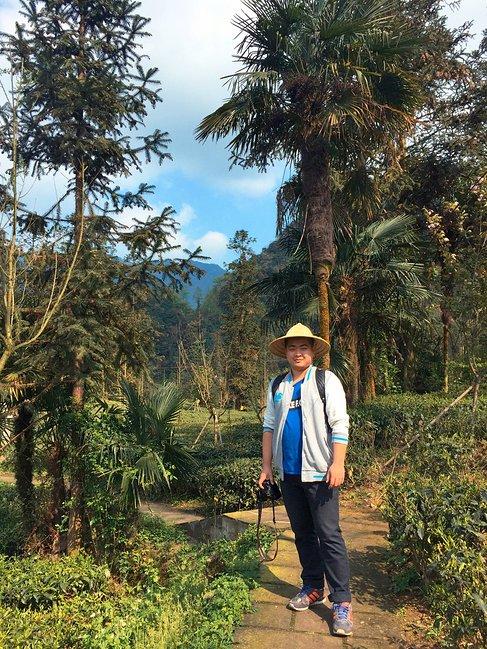 峨眉山吃住行,峨眉山吃住最佳攻略