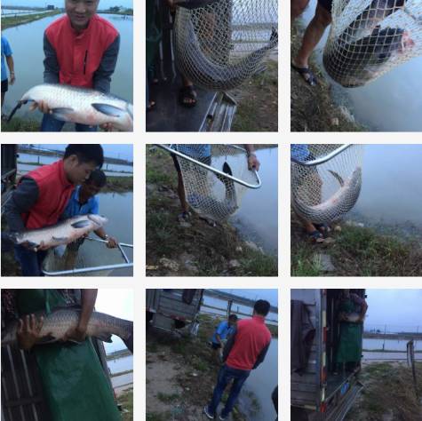 第一次野钓爆护是什么感觉,野钓不可缺少的10大爆护因素