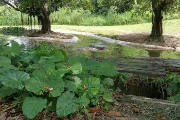 广州长隆野生动物园游玩路线攻略,广州番禺长隆野生动物园详细攻略