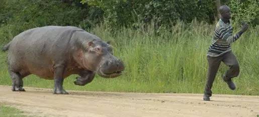 赫石体能线上课程,赫石少儿体能到底怎么样