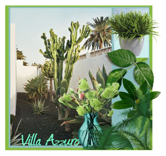 最是橙黄橘绿时原文,最是橙黄橘绿时全诗是什么意思