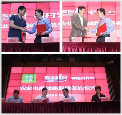 农商1号发起农业电商战略联盟共启惠农丝绸之路