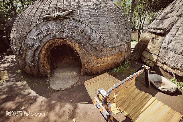 最正宗的非洲美食,非洲好吃的美食合集