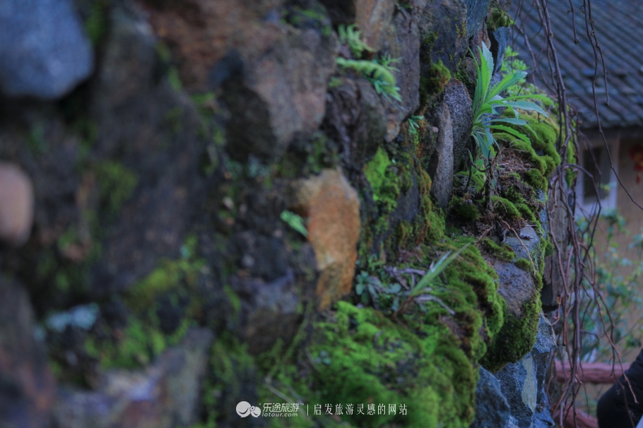 约定今生来世,我会等你——大鱼海棠