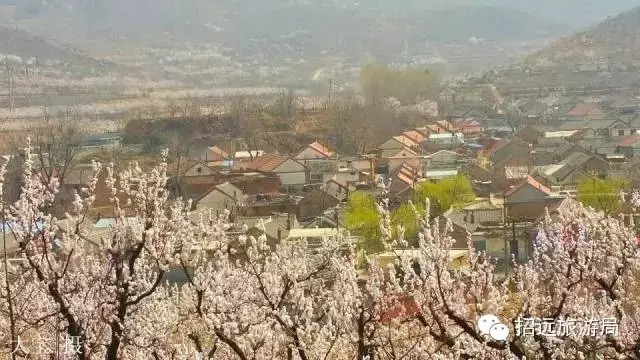 招远地名来历,招远地名大全