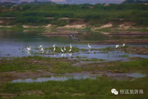 招远地名来历,招远地名大全