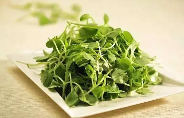 清明节气古诗词,今日清明时间