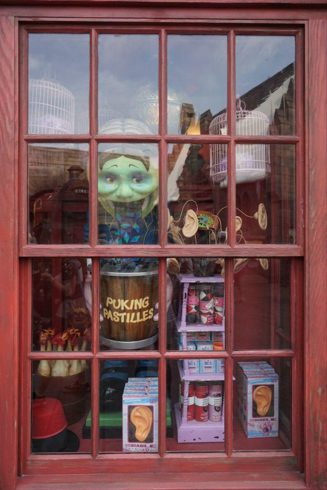 念念不忘必有回响日语,念念不忘必有回响再次相见