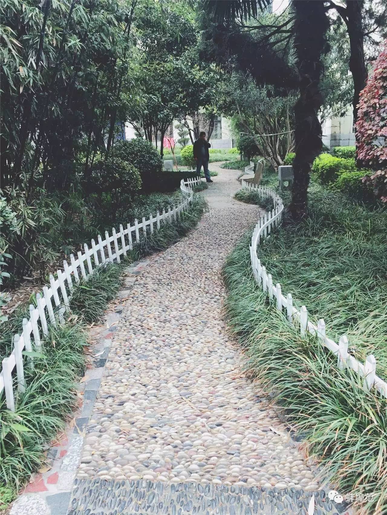 皖北最好的医院,蚌埠淮委医院厉害吗