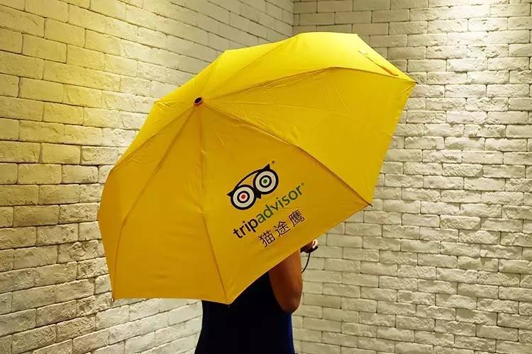 为什么大家都去泰国玩,为什么大家都去泰国留学