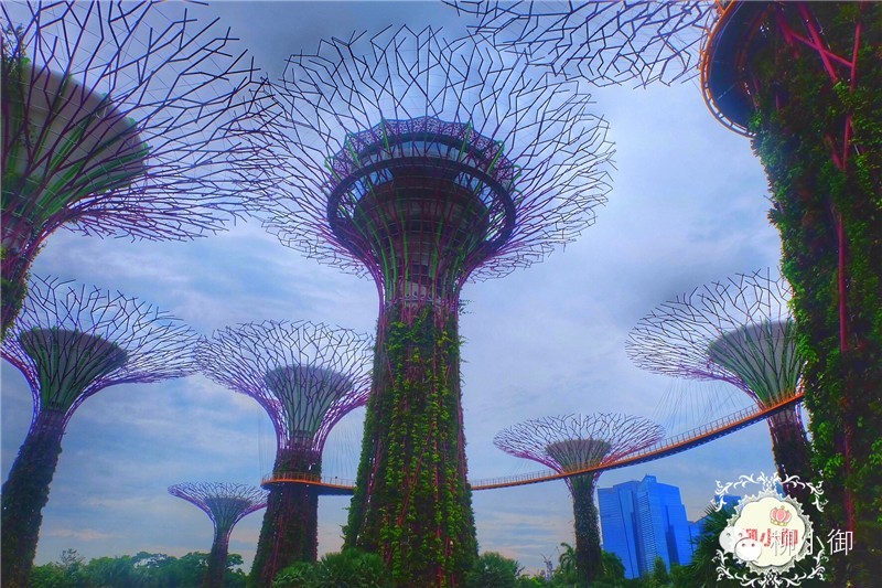 春节旅游新加坡,还能不能春节旅游去新加坡