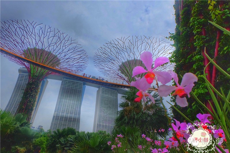 春节旅游新加坡,还能不能春节旅游去新加坡