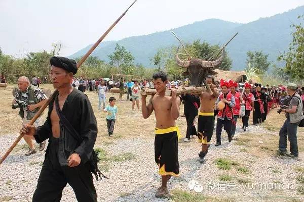 大理人去哪个省玩,大理人游西双版纳