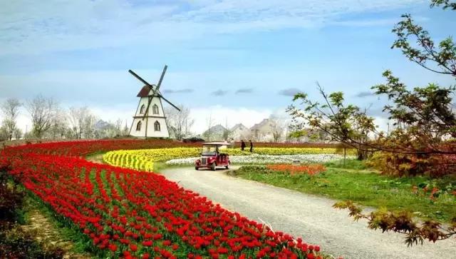 魔法宝贝门票,魔法宝贝团购