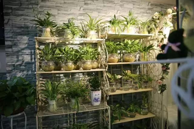 宜昌居然还有这样“见不得人”的花花世界？