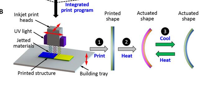 3d打印和4d区别,4d和3d打印的区别