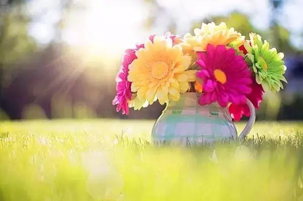 作者：张梦宁我再也不轻信了！