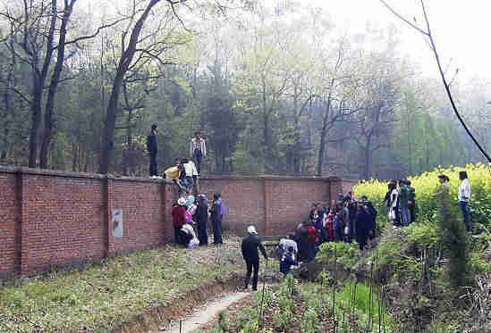 年龄大了玩3d游戏头晕,为什么有人玩3d游戏头晕恶心