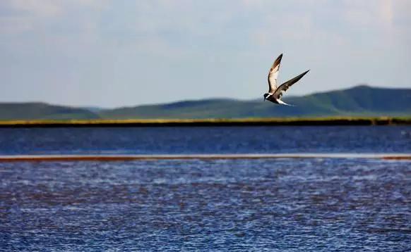 四川不可不去的十个景区,四川湿地风景区
