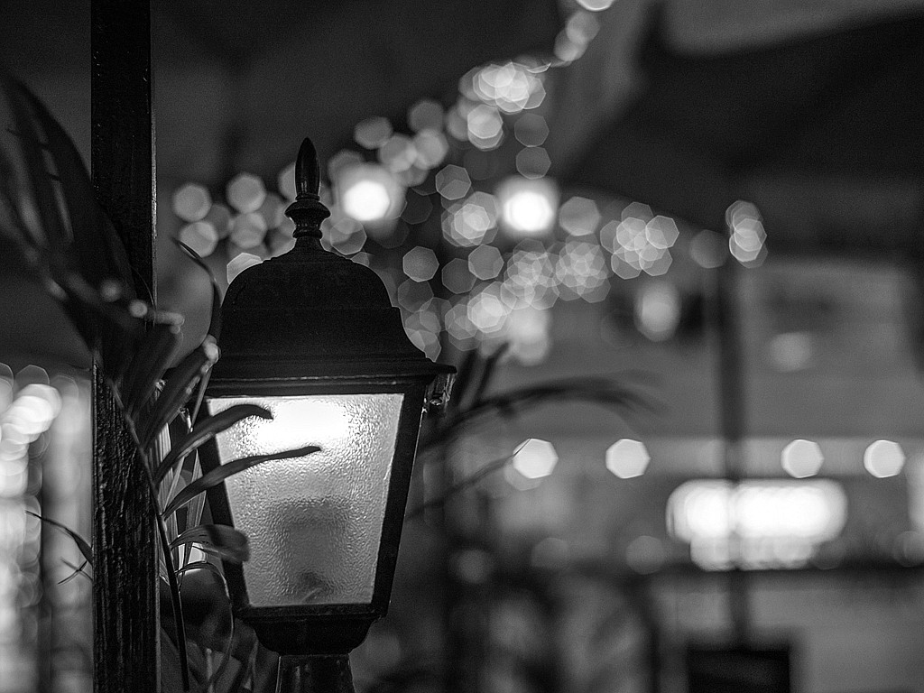 尼康85f1.8d夜景人像作品,尼康d5100501.8拍风景