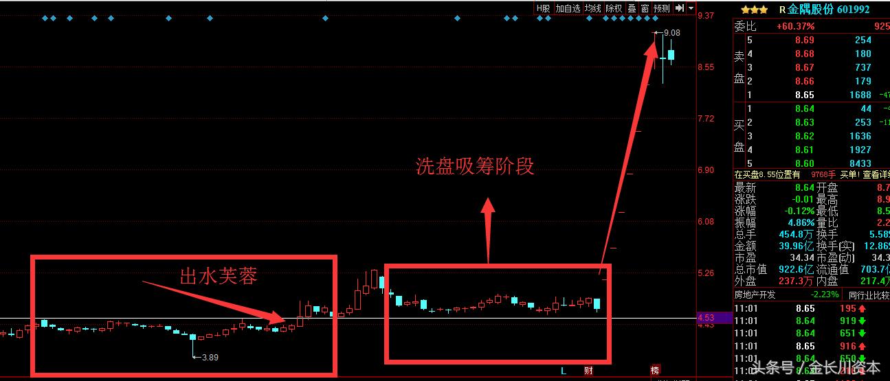 出水芙蓉股票教程完整版,出水芙蓉回调买入法