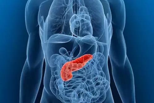 乔布斯的抗癌历程,乔布斯的抗癌经历