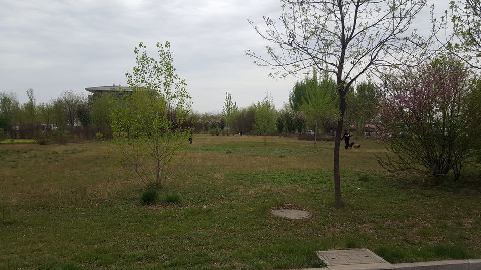 唐山市乐亭县大集,河北唐山乐亭大集