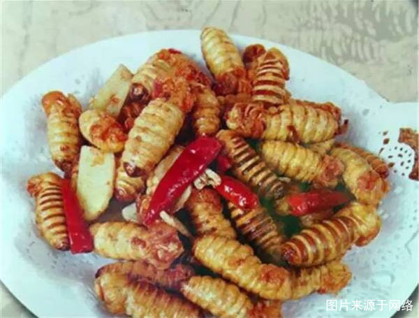 岫岩映山红一日游,岫岩映山红风景区合适爬山吗