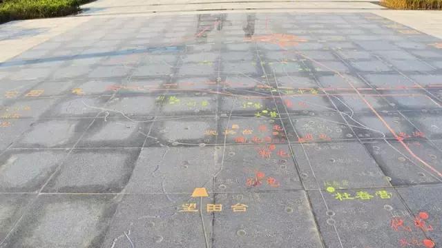 花木博览园一日游,春季游玩博览会