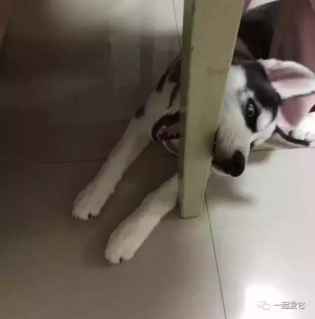 宠爱每一个故事,宠爱故事梗概