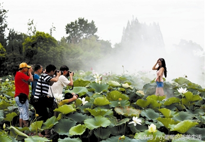 安徽人的家乡特点,安徽人为什么喜欢去江浙沪