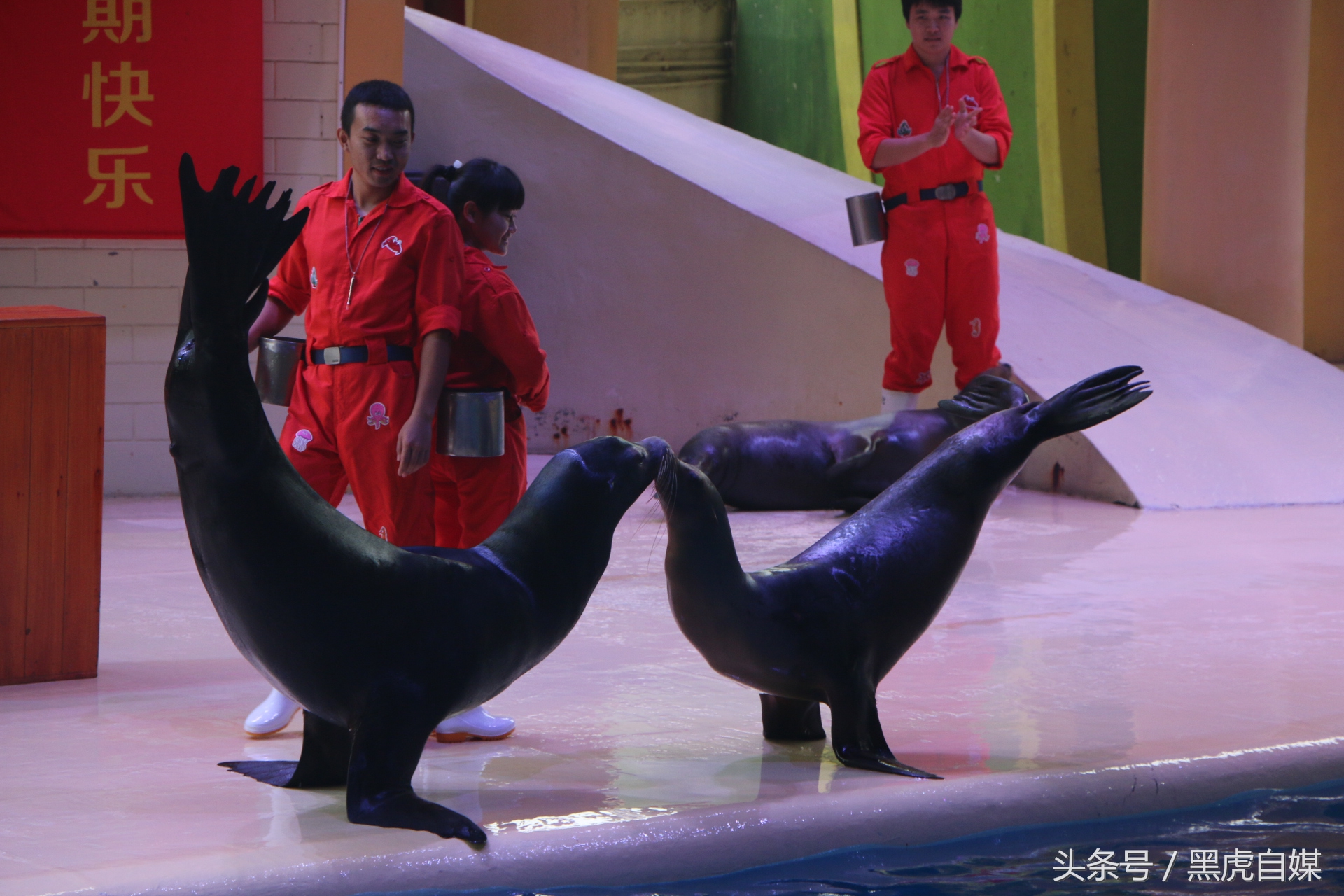 旅游珠海长隆海洋王国攻略,长隆珠海海洋王国游玩一天攻略