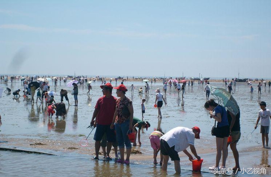 日照市适合老年人的旅游景点,日照市旅游景点网上预约
