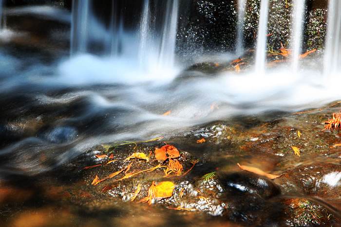 你离专业摄像师只差一个三角架
