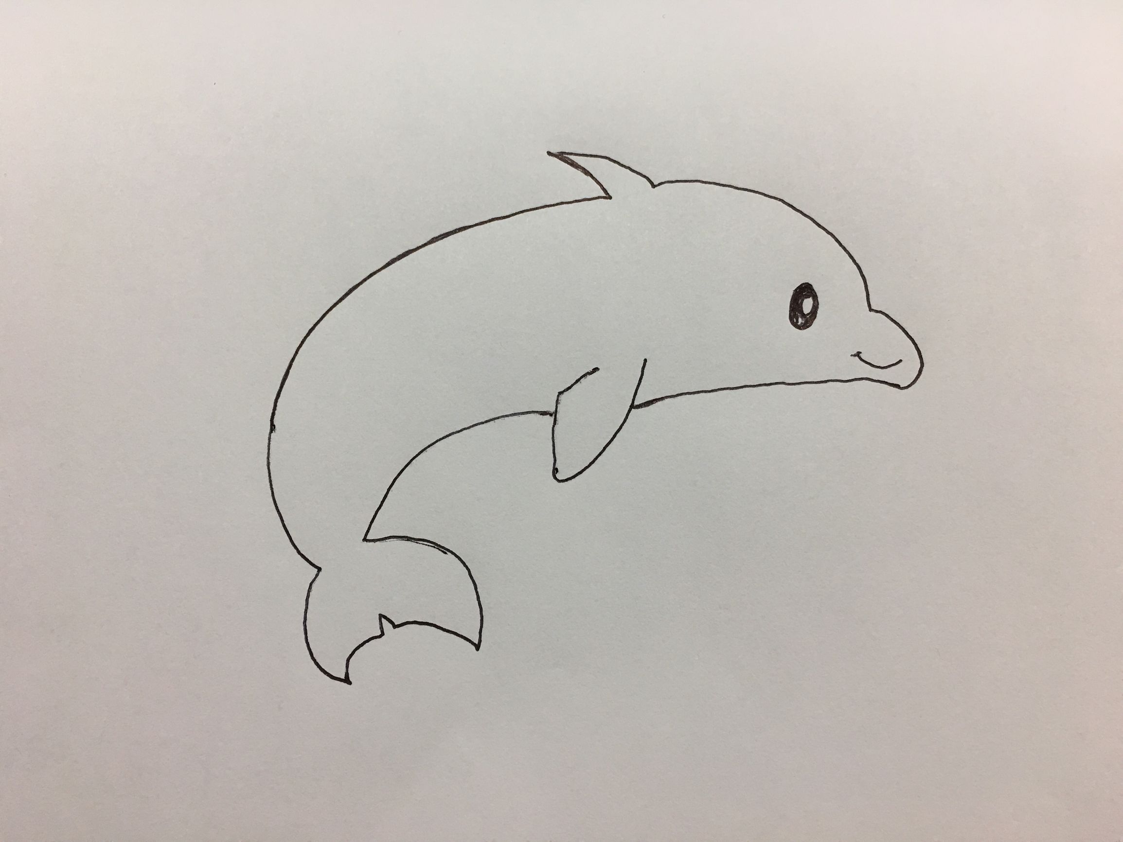 小海豚过生日简笔画,迷你小海豚泡泡简笔画