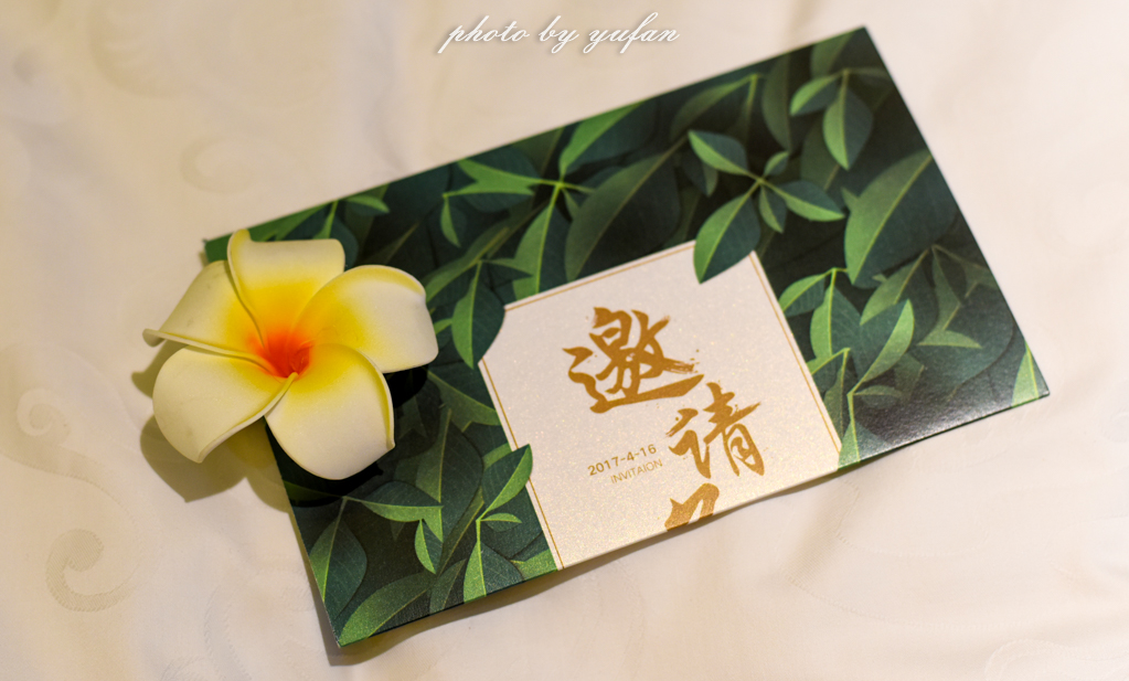 云端上的世外桃源，看看浇灌牛奶和土鸡蛋的有机乌龙茶长成啥样